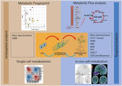 Metabolism of Stem and Progenitor Cells: Proper Methods to Answer Specific Questions